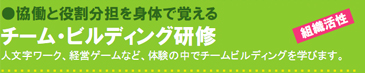 協働と役割分担を身体で覚える チーム・ビルディング研修 人文字ワーク、経営ゲームなど、体験の中でチームビルディングを学びます。